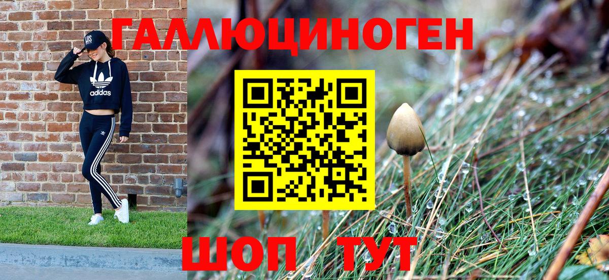 Галлюциногенные грибы GOLDEN TEACHER  Вход с VPN  Галлюциногенные грибы MAGIC MUSHROOMS  Камень-на-Оби 