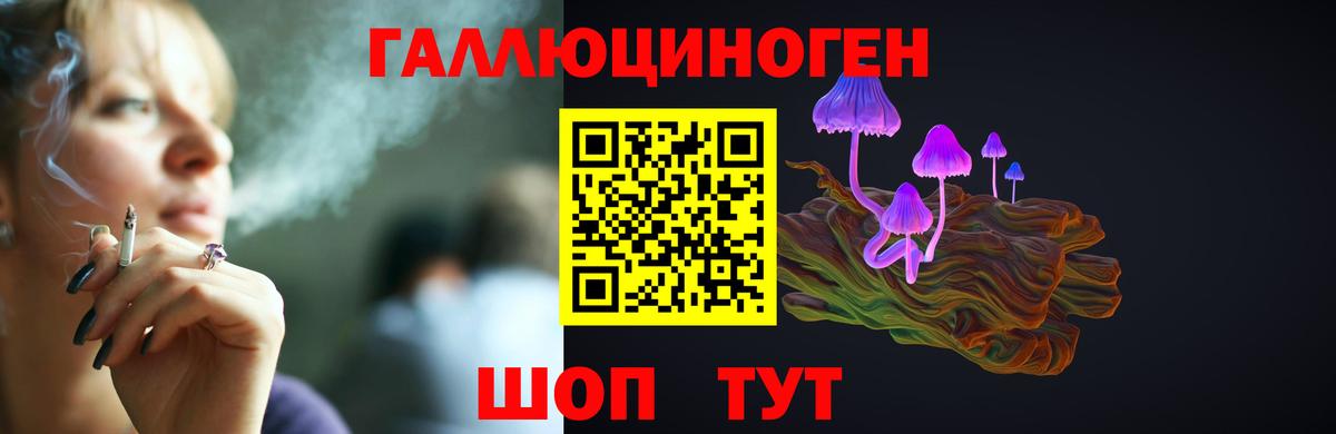 Псилоцибиновые грибы Cubensis Камень-на-Оби